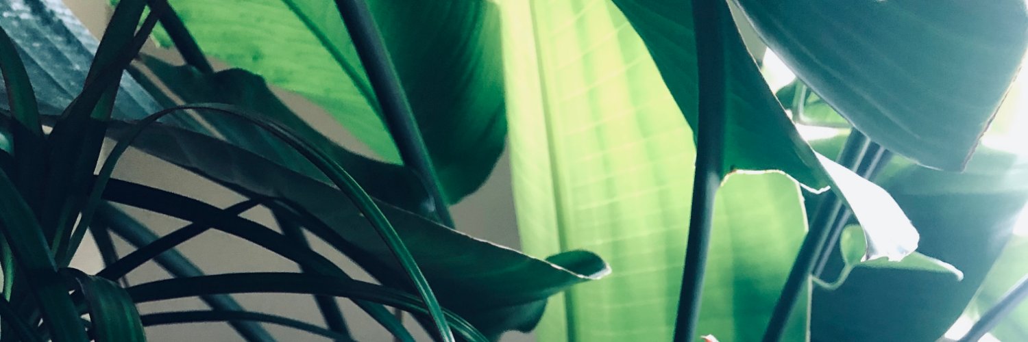 Sherayar Orakzai banner