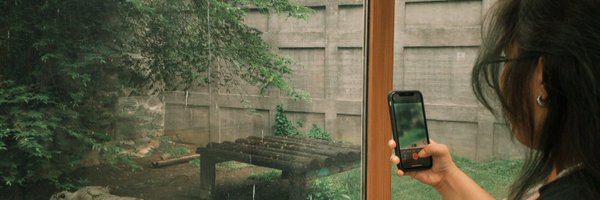 einnjul Profile Banner