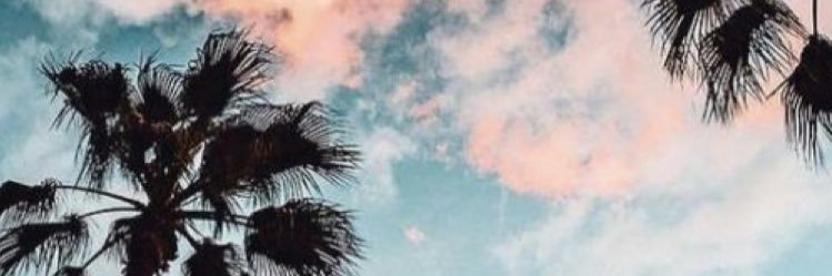 naedborges's profile banner image