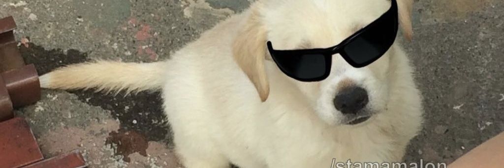 DarliiB's profile banner image