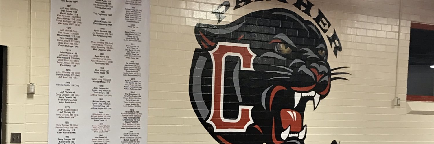 Cody Downing banner