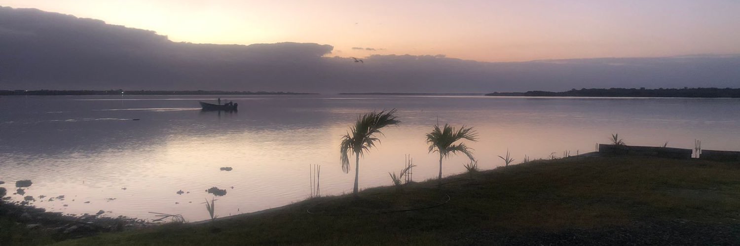 branda_cepeda's profile banner image