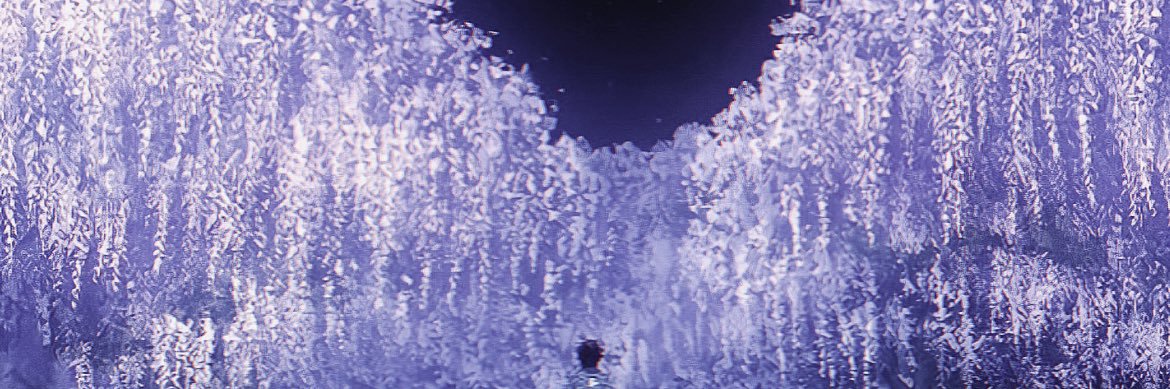 nroolia's profile banner image
