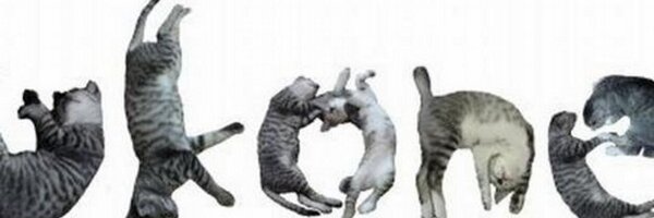 tremolo2020 Profile Banner