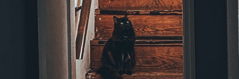 itsniskibitch's profile banner image