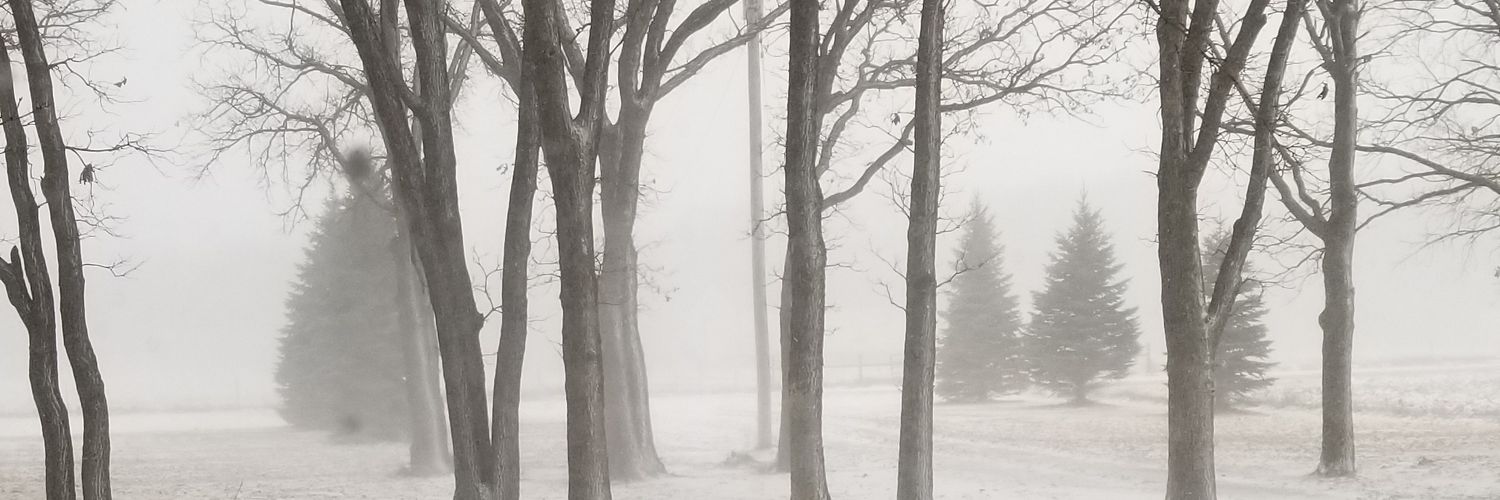 olson_ross's profile banner image