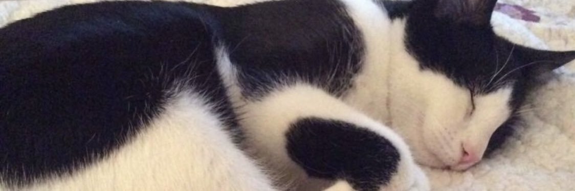 vezell's profile banner image