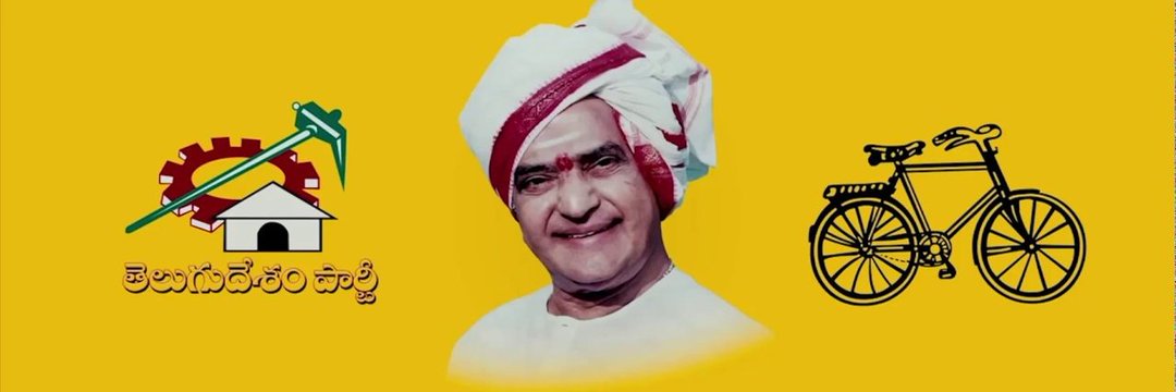 TDP Fans banner