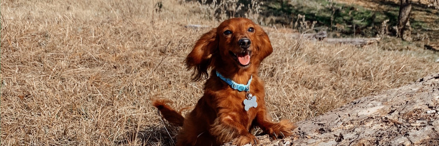 lysieekaay's profile banner image