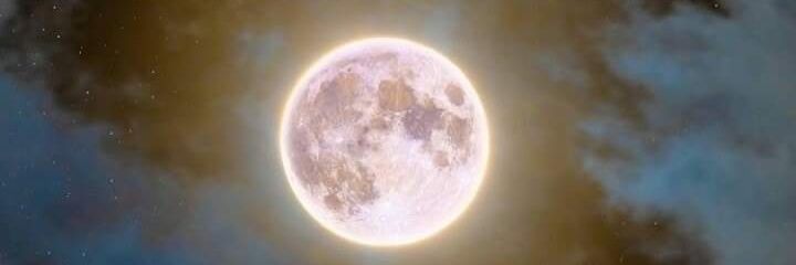 Mnshash's profile banner image