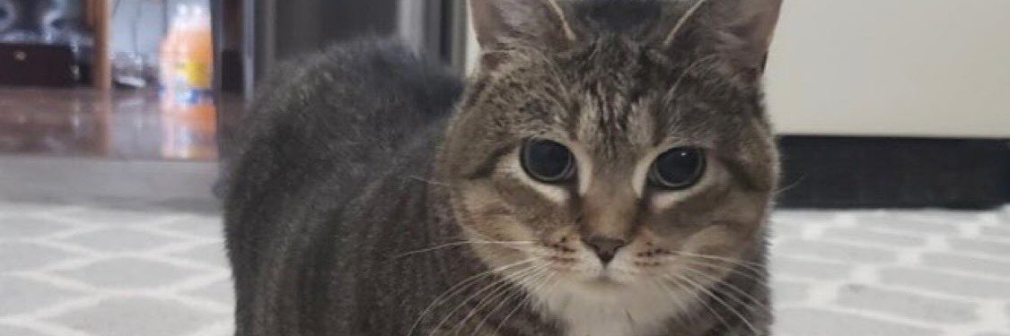 George 🇦🇲 banner