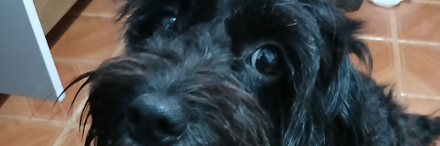 narisse44's profile banner image