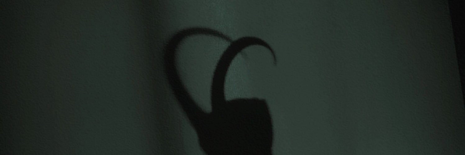 alice ४ loki defender's banner