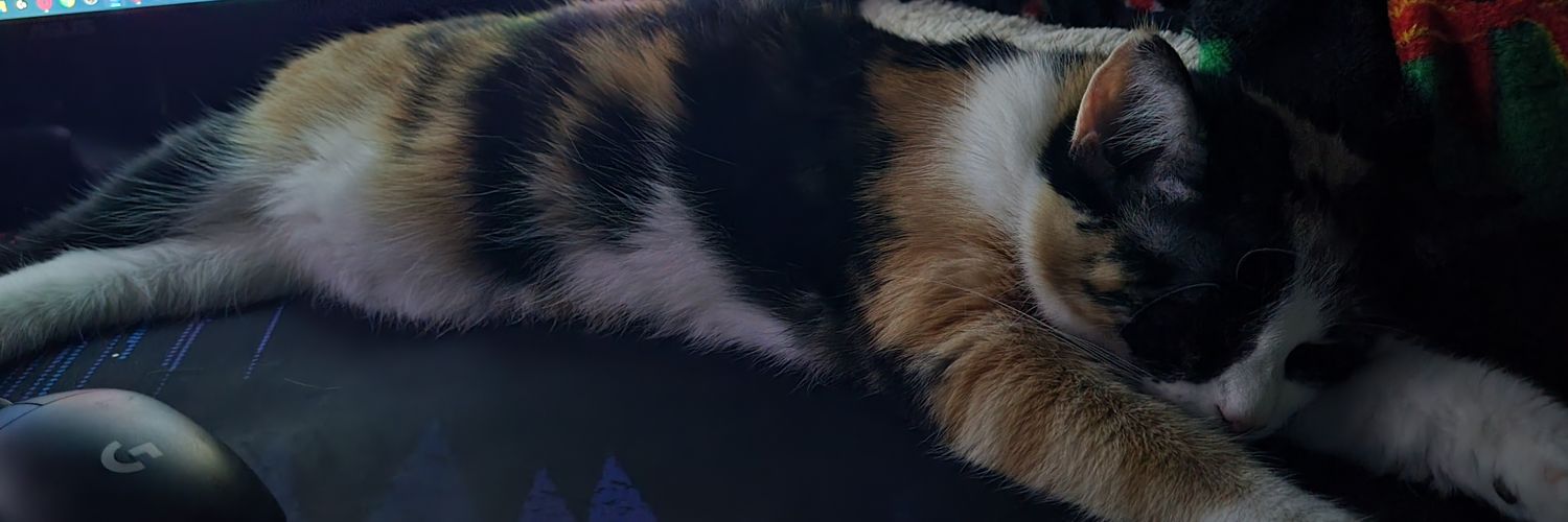 Flightless040 banner