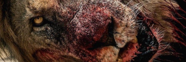 JoshuaPotter08's profile banner image