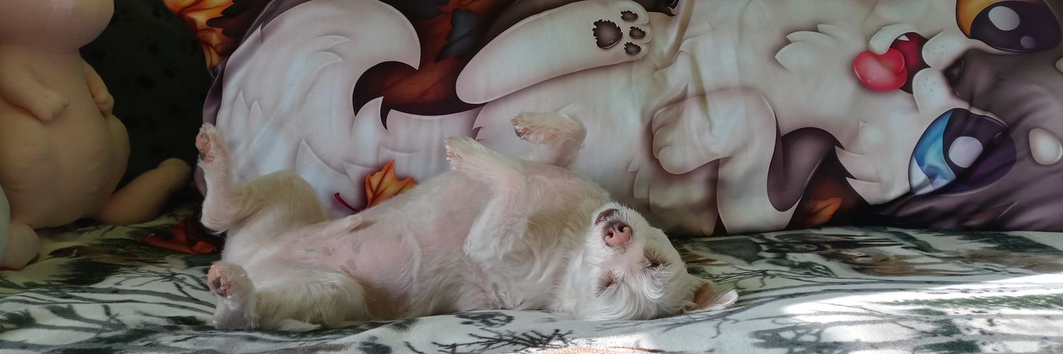 LizExploresFun banner
