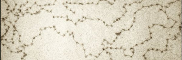 Pratt__Brandon Profile Banner