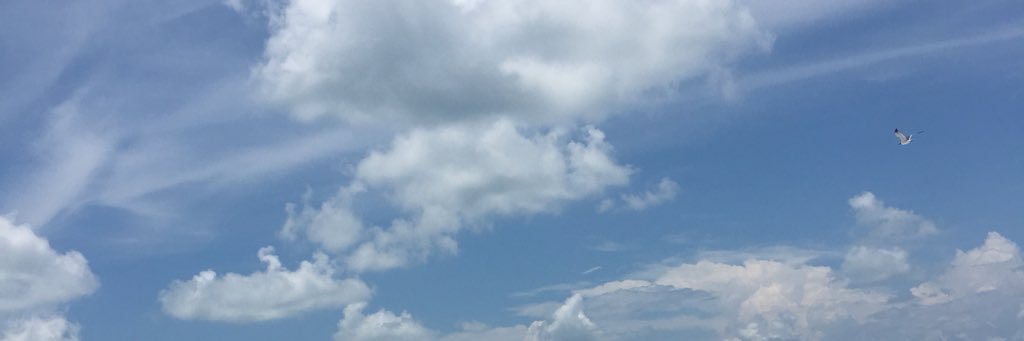 ClaudiaHill's profile banner image