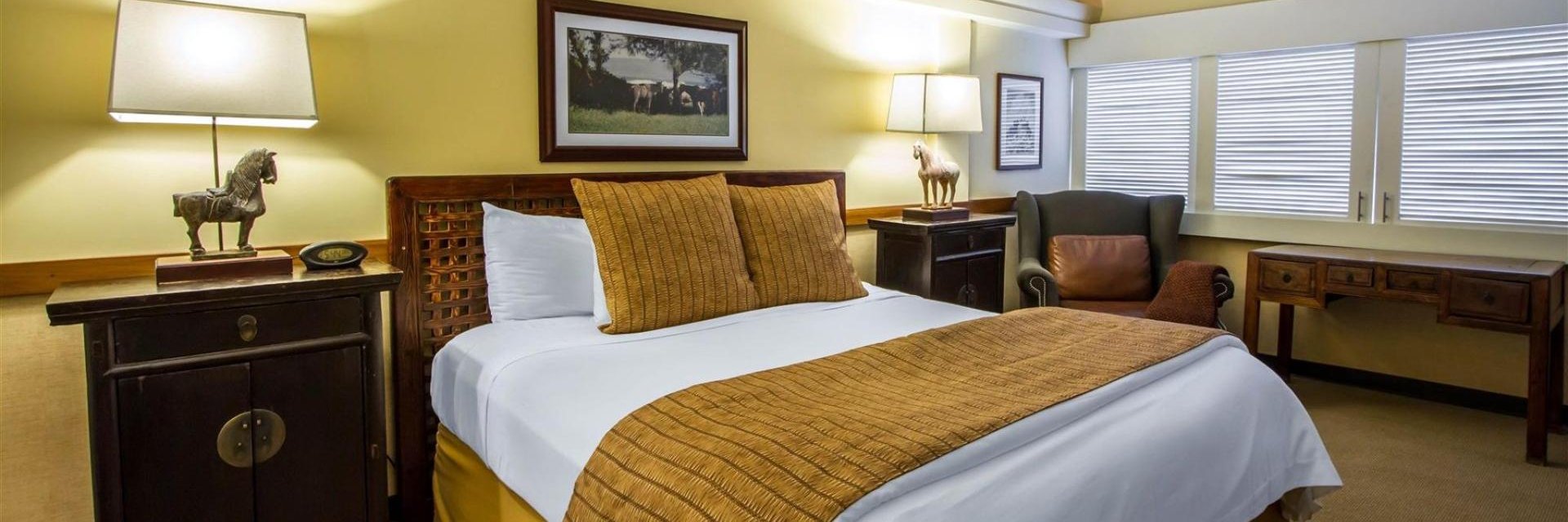 EquusHotelHi's profile banner image