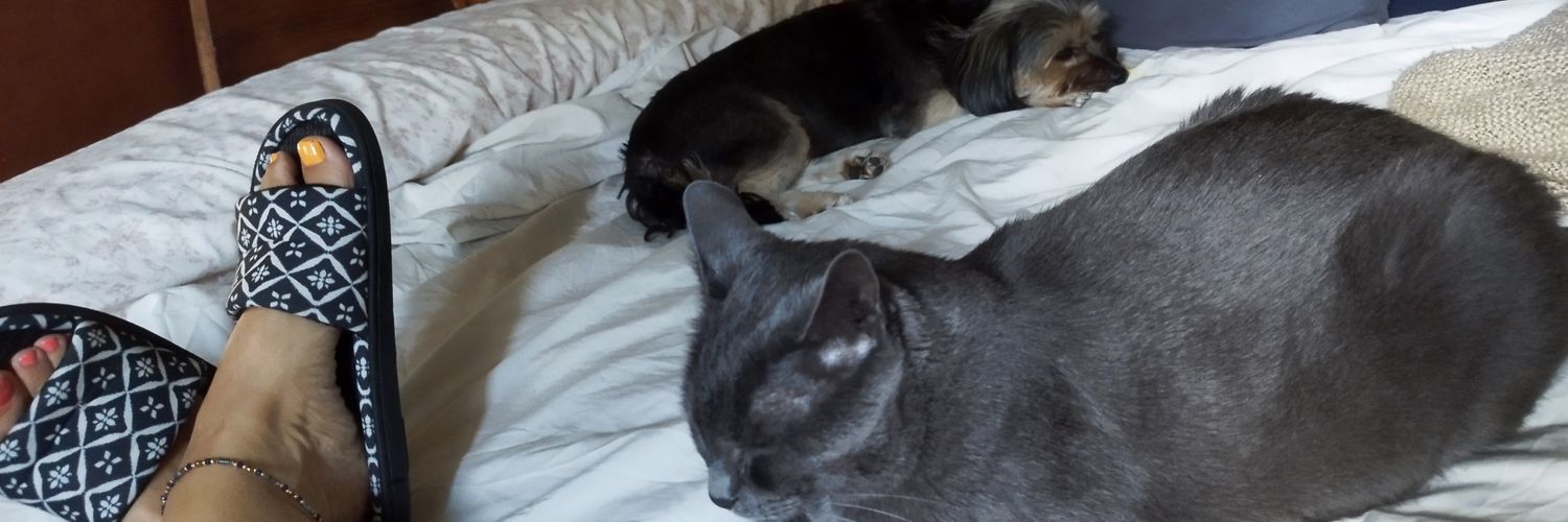 ReggieHolly's profile banner image