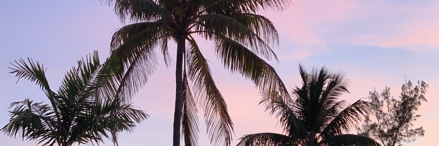 Texas_Torinado's profile banner image