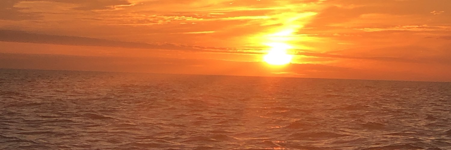 amberdenisec's profile banner image