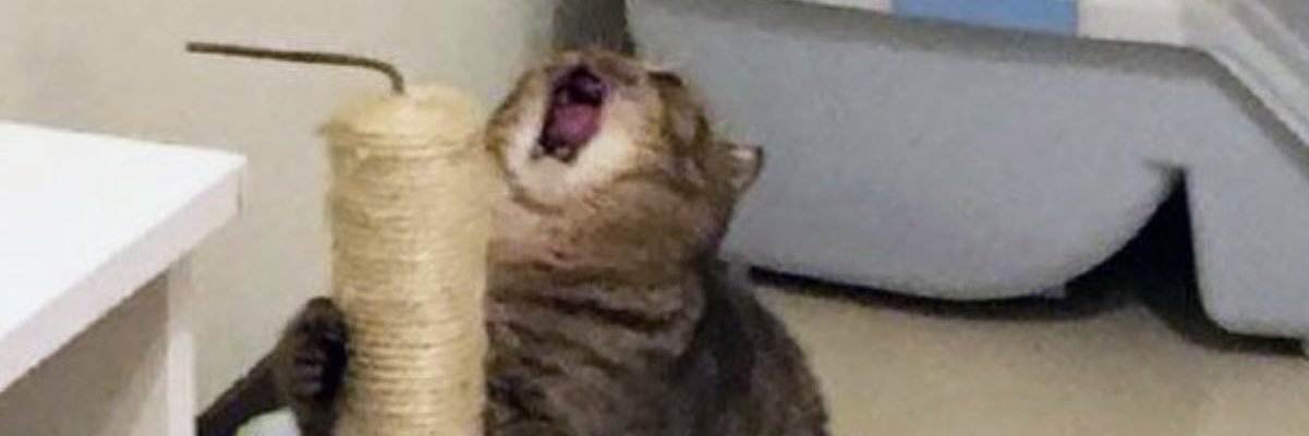 CarltonGarret's profile banner image