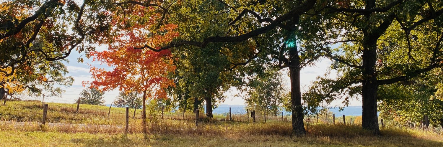 EmilyRodak's profile banner image