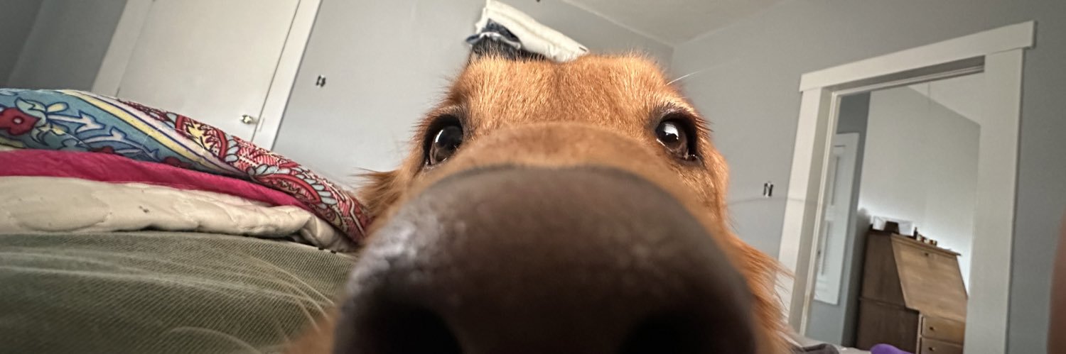 loafingaround's profile banner image