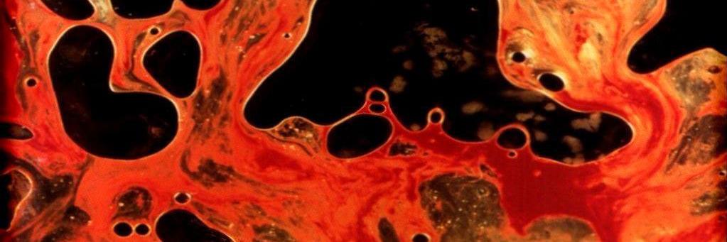 oreyes619's profile banner image
