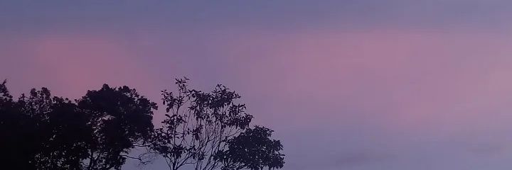 NotDqny's profile banner image