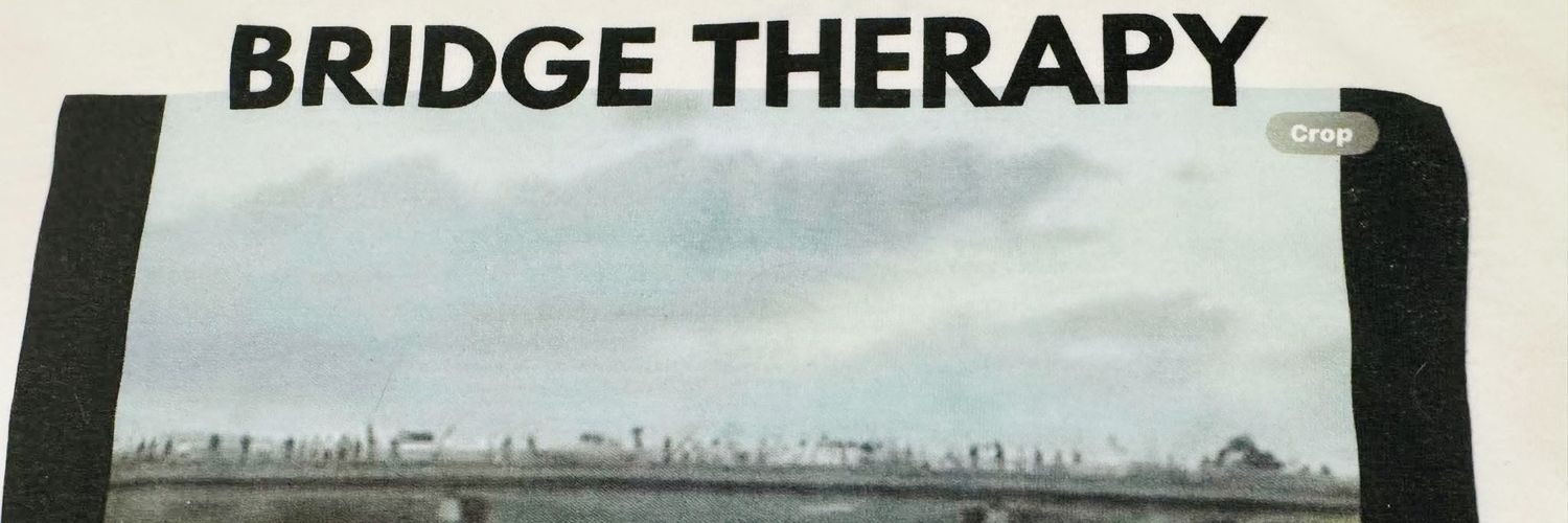 Shenandoah VA Democrats 🥊4⚖️ banner