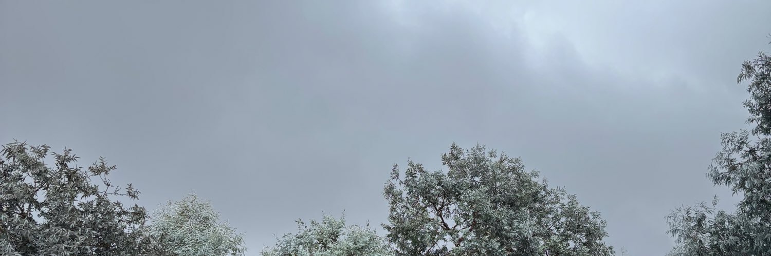 _andreag31's profile banner image