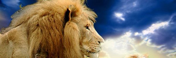 MonroeRel Profile Banner
