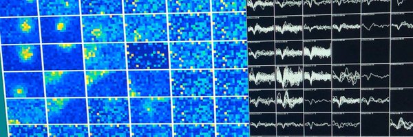 BNBLMegalab Profile Banner