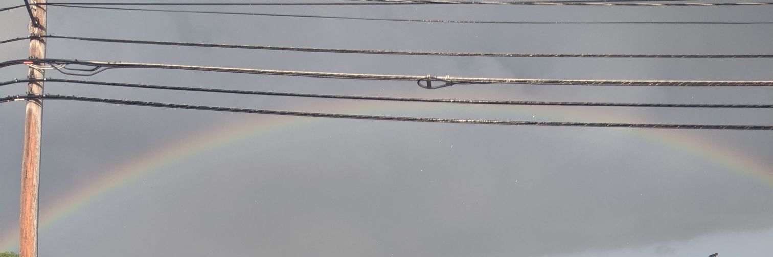 lexabobexa's profile banner image