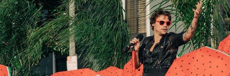 StyIesharrylove's profile banner image