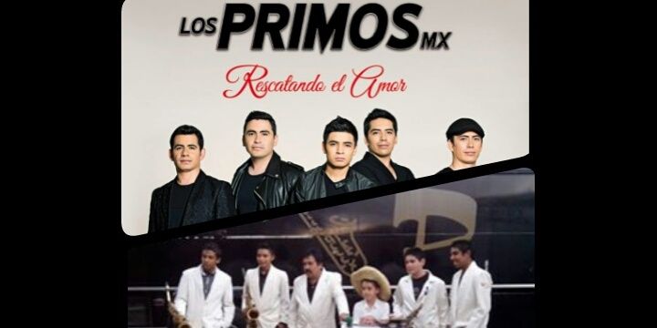 LosCarinitos's profile banner image