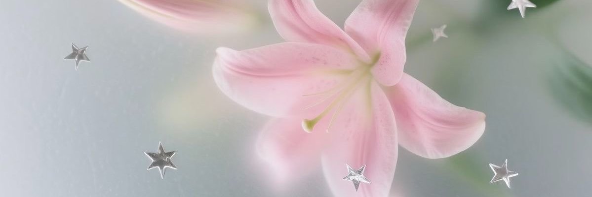 esc2ntric's profile banner image