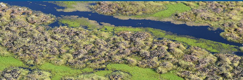 The Flow-MER Program banner