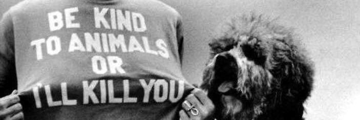 danimcdonald's profile banner image
