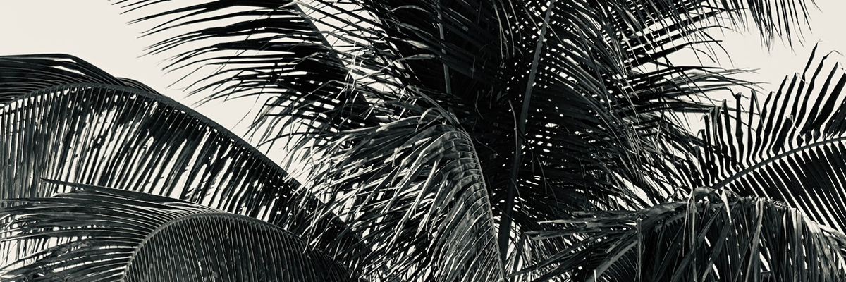 FloryDiaz_'s profile banner image