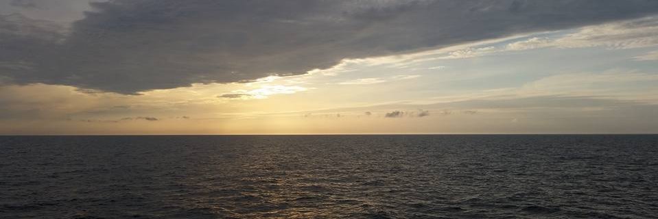Peter__Lockwood's profile banner image