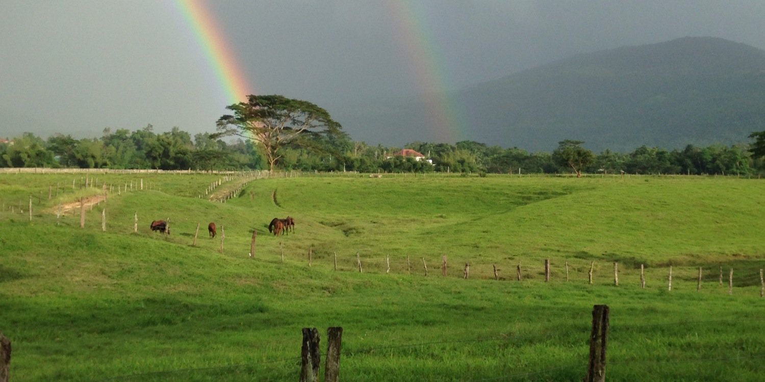 justinsamuda's profile banner image