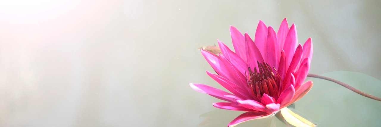 BaliLotusTour's profile banner image
