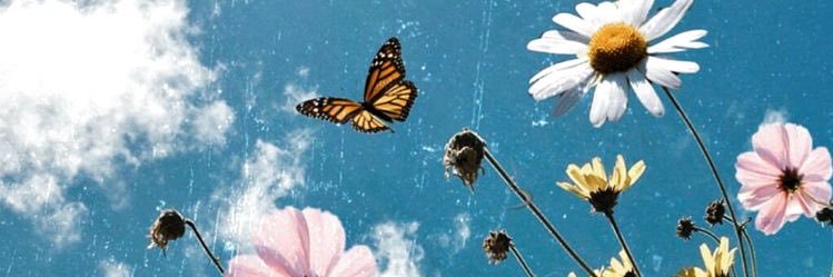 aschlyn4's profile banner image