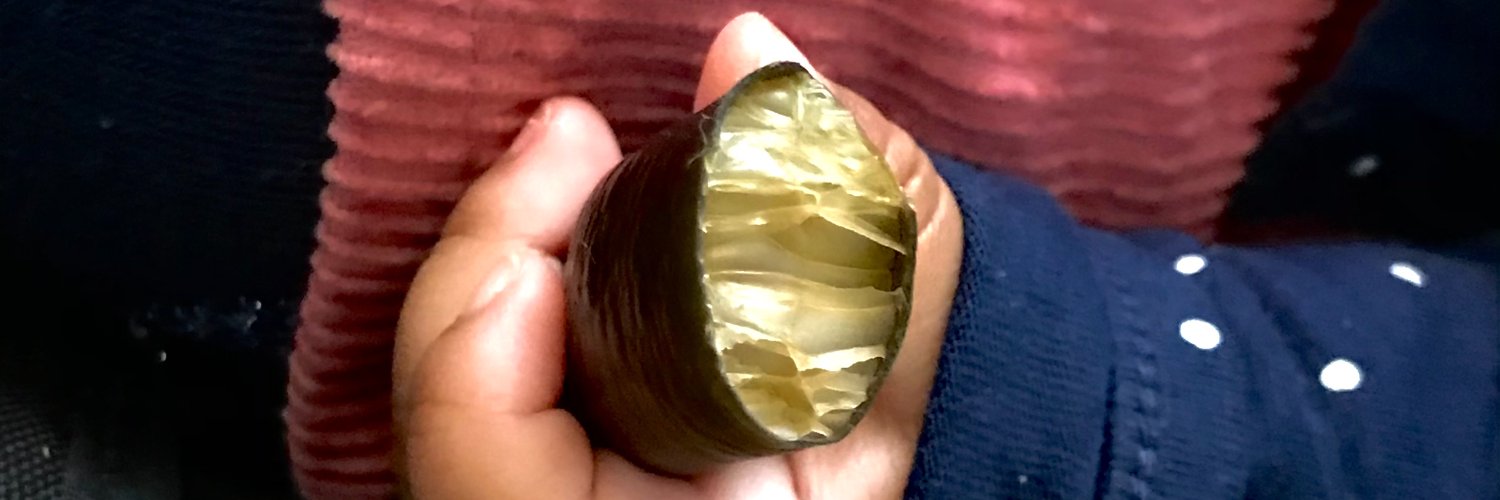 Erasmo Macaya Horta banner