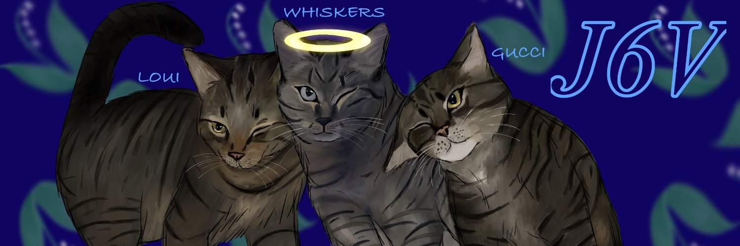 TheJ6V's profile banner image