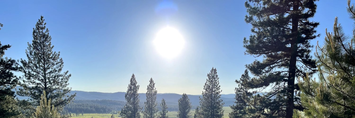 adavis_81's profile banner image