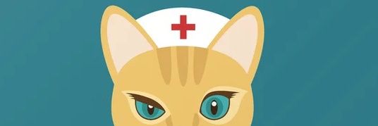 allisonconnurse's profile banner image